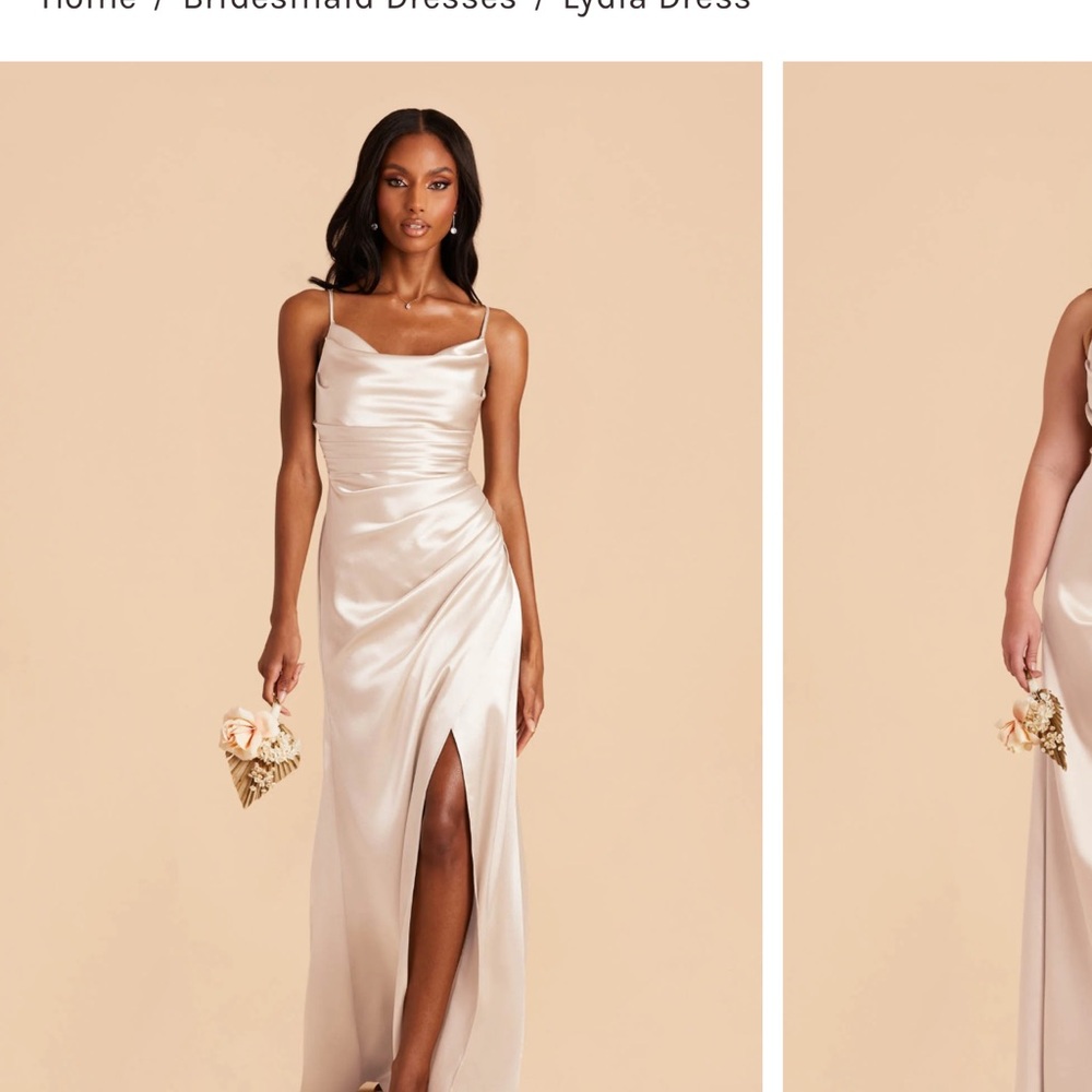 Birdy Grey lydia dress champagne